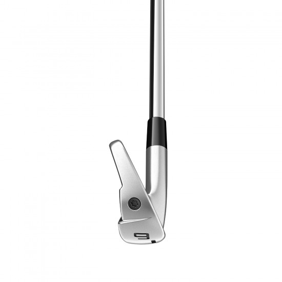 TaylorMade Golf P790 Irons 4 Iron - PW - Regular Flex